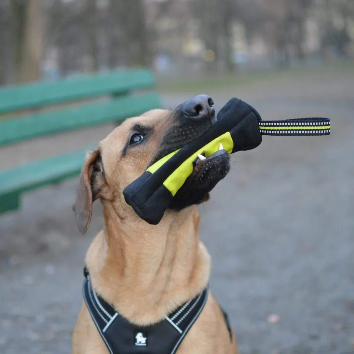 Truelove Dog Training Retrieve – Food Pouch Reusable recenzja i cena